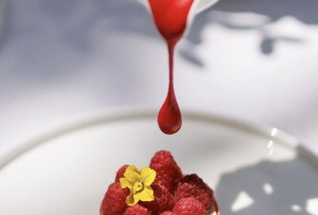rapsberry opera 1