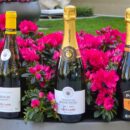 ROSÉ & SPARKLING SEASON Savršena vina za dolazeću sezonu Tim 99