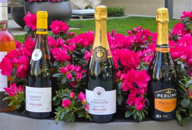 ROSÉ & SPARKLING SEASON Savršena vina za dolazeću sezonu Tim 99