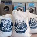 LESSIVE – Profesionalna perionica veša za HoReCa sektor