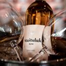 Vina Vinarije Čoka za Event Centre i HoReCa sektor