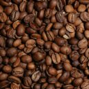 Put kafe od sadnice do šoljice