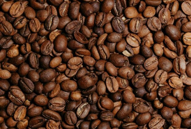 Put kafe od sadnice do šoljice