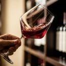 VINSKI DEKODER Razumevanje vinske terminologije