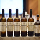 Pérez Barquero masterclass u Beogradu 9 perez-barquero-masterclass-beograd